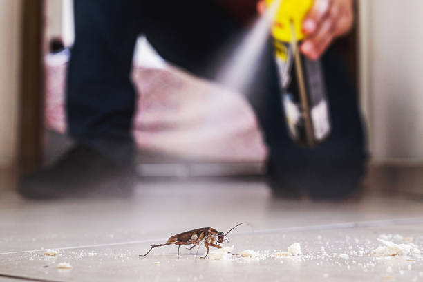 Best Affordable Pest Control Services  in Lightstreet, PA